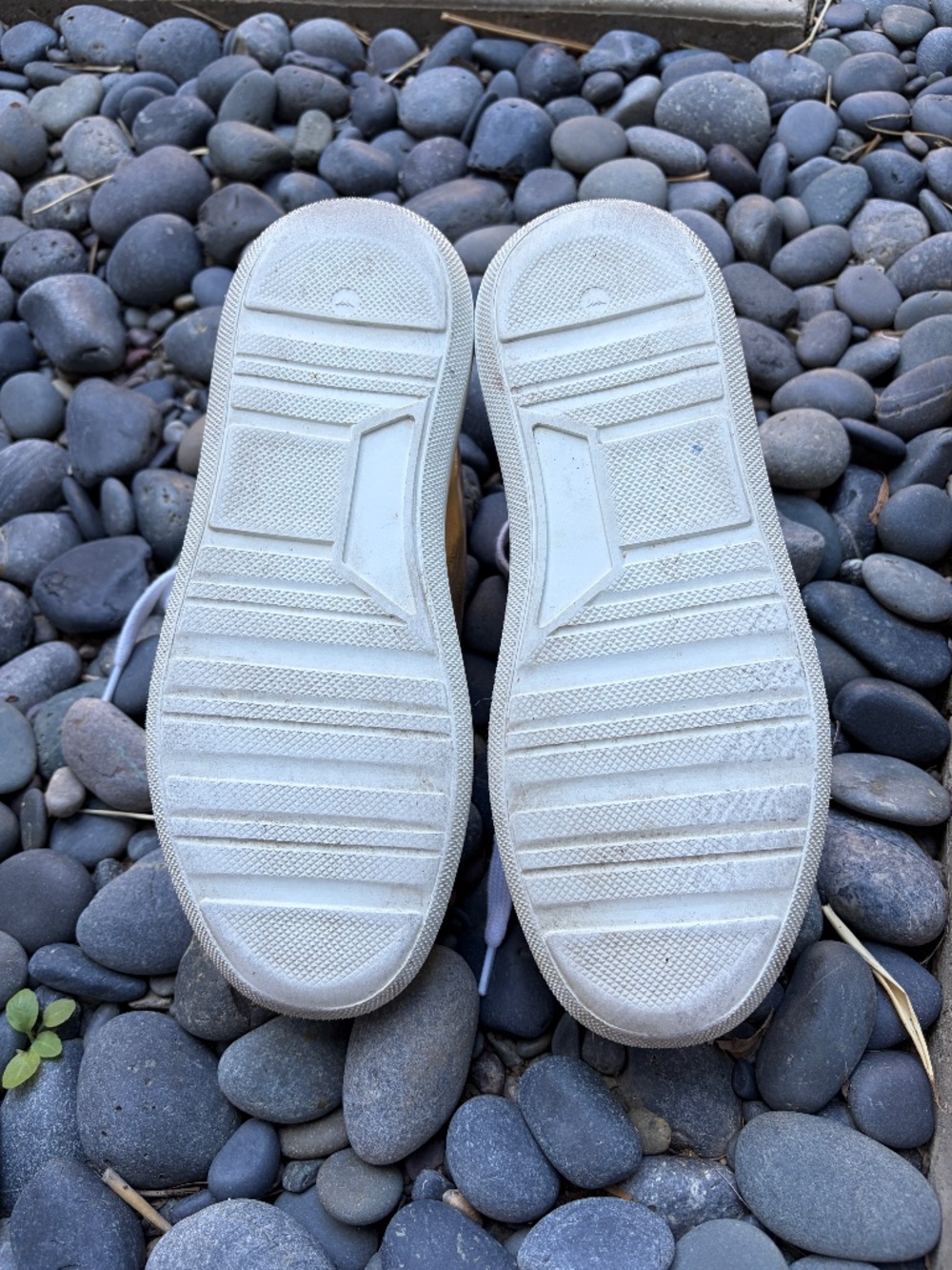 Halmanera Italian Leather Colorblock Lace-up Sneakers - Picture 5 of 5